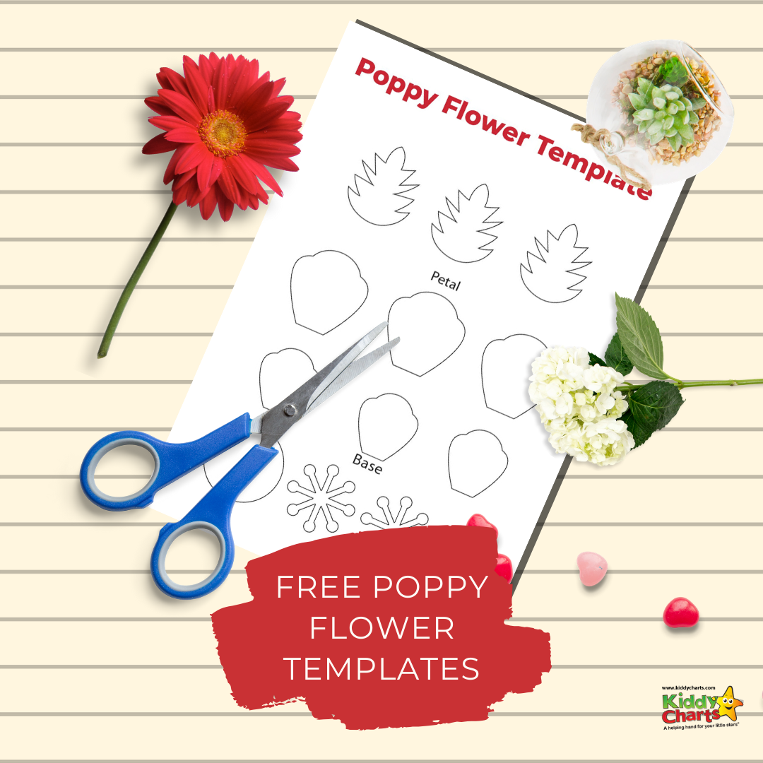 how to make your paper poppy