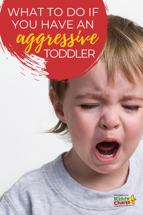 Toddlers hitting - what can we do to curb the behaviour? - KiddyCharts