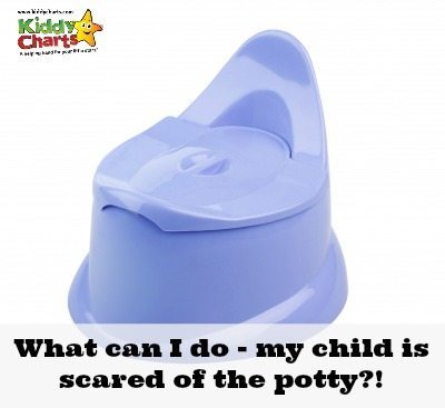Scared of the potty: What can I do?