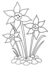 Easter coloring pages: Daffodils
