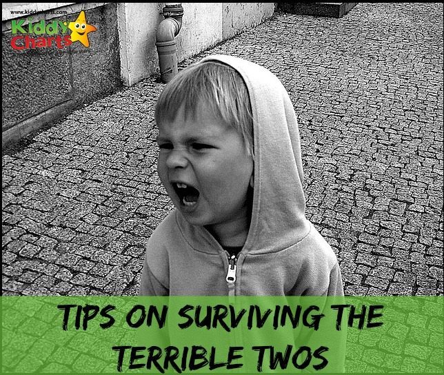 TIps on Surviving the Terrible Twos