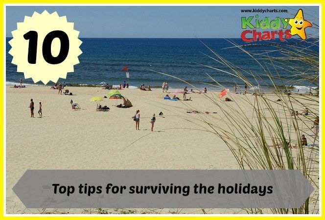 The image is showing tips for surviving the holidays, as provided by the website KiddyCharts.