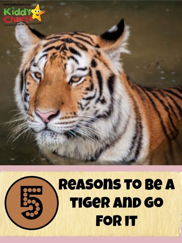 Five reasons to be a wokring mum, and plauy the tiger, so you can just go for it!