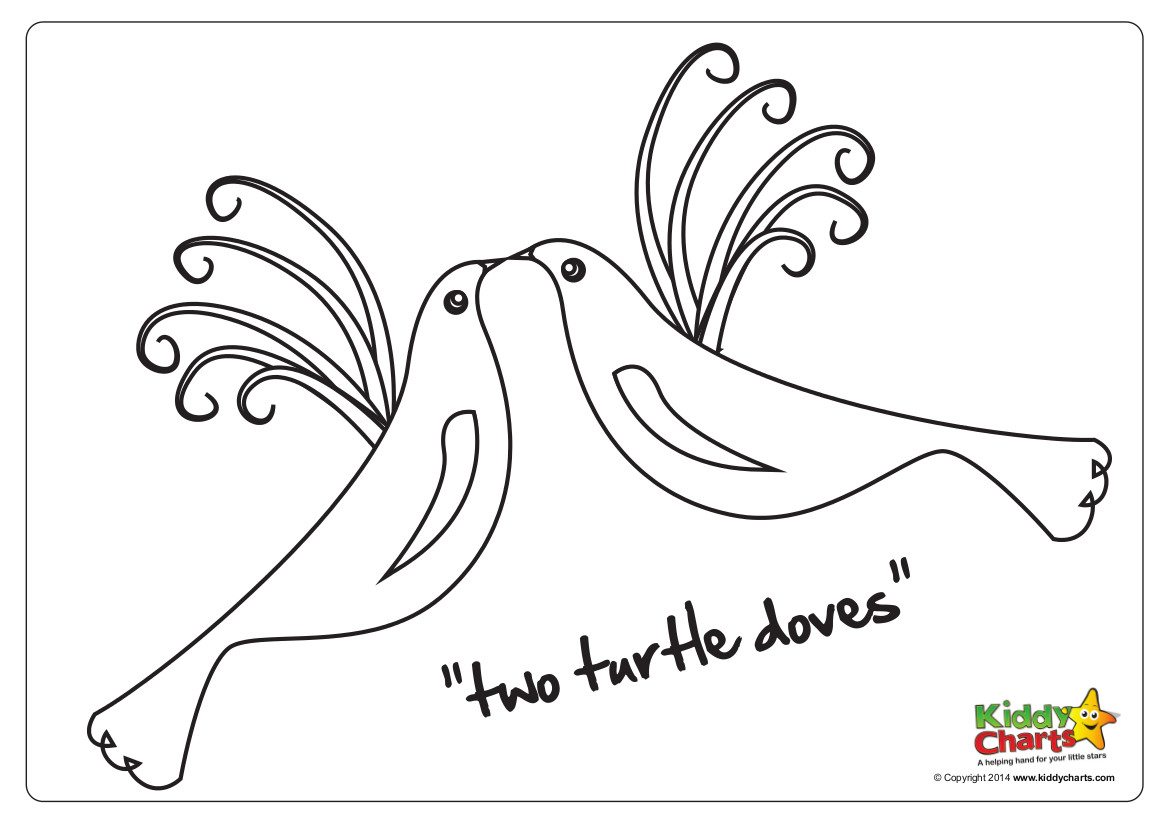 two turtle doves