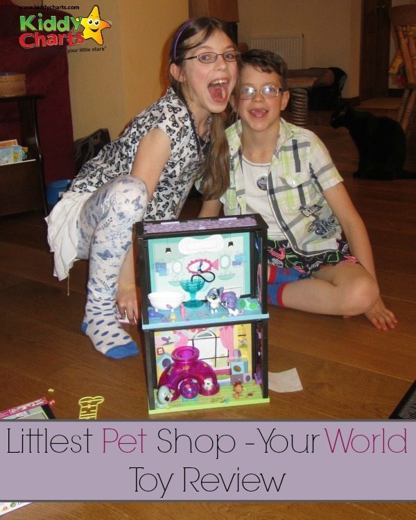 Are you wondering about boying the Little Pet Shop range of toys? What is LPS Your World? We give you the lowdown on the toys honestly on the blog