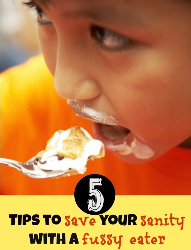 Do you have a fussy eater in the house? Here are five tips for saving your sanity when trying to get rid of those habits. And if all else fails - at least you know you aren't alone with having a kid that isn't happy about eating whatever you put in front of them!