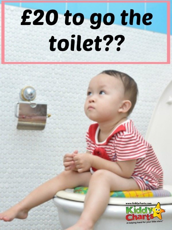 Why do kids have to go to the loo so much - we can NEVER do anything else!