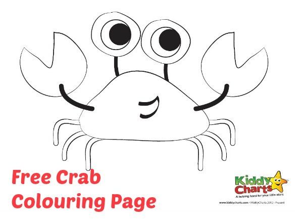 Download this crab colouring page for some summer fun