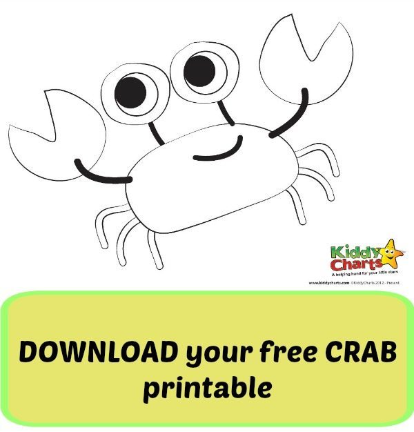 Download today's crab printable to add to your collection of our other summer colouring sheets