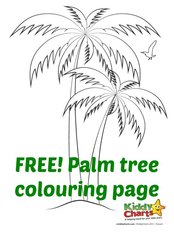 Download this palm tree colouring page to add to your growing collection in our summer countdown