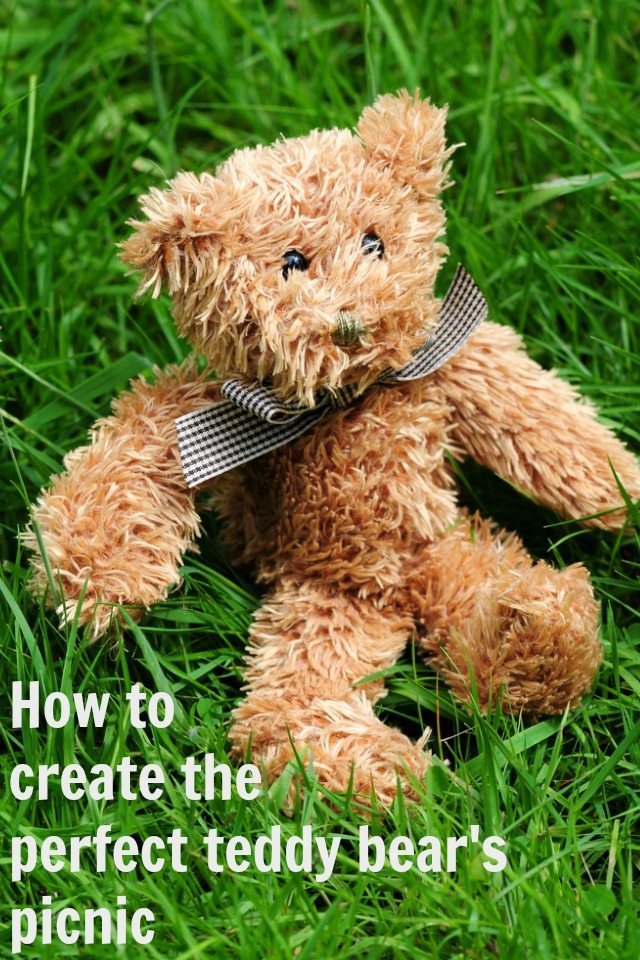 Are you looking to create the perfect teddy bear's picnic for the kids? We have some great ideas for the kids, and all the bears involved! From snacks to desserts, and little tips to make your teddy's  picnic rock.