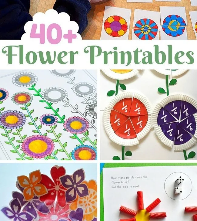 40+ Flower Printables for kids and adults