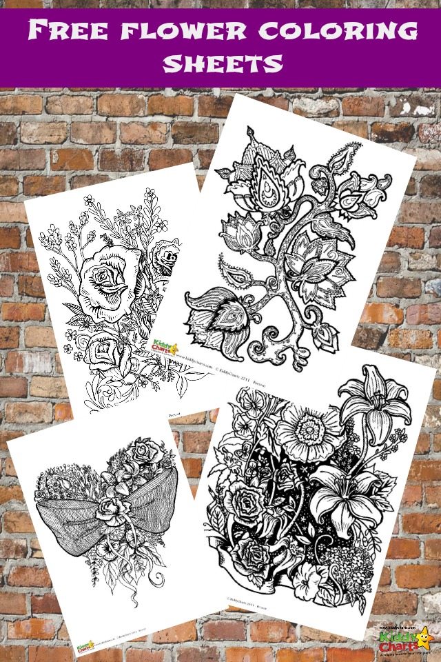 We have four wonderful flower coloring pages for adults for free for your to download. Perfect to be mindful too, and also to relax with. Older children would like to have a go too. Why not pop over and download them all?