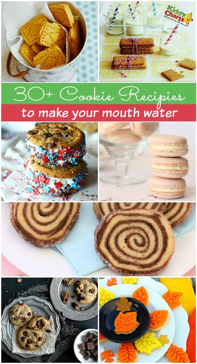 30+ delicious cookie recipes to make your mouth water