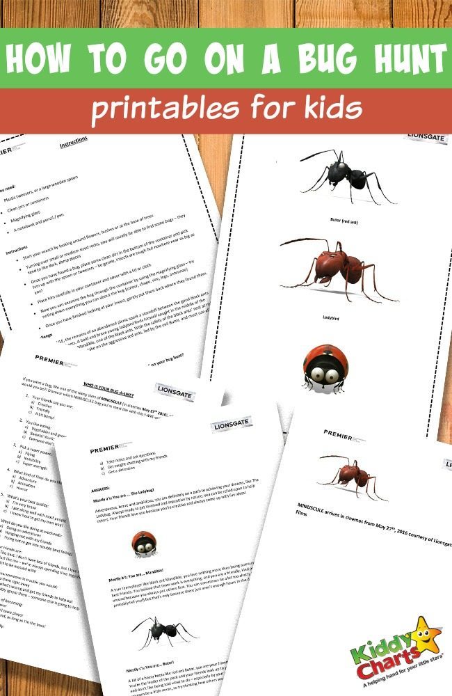 How to go on a bug hunt printables for kids