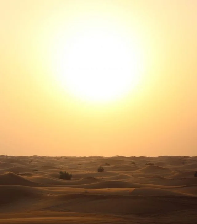 The sun rises and sets over a vast desert landscape of sand dunes, aeolian landforms, and singing sands, creating a unique and beautiful natural environment in the Sahara ecoregion.