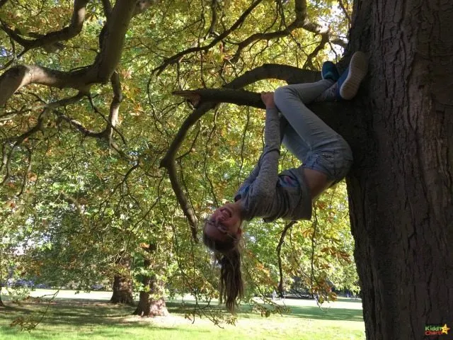 Phone Backups mean you don't loose mad pictures of your daughter hanging about in trees - which is nice. I love this shot. So 