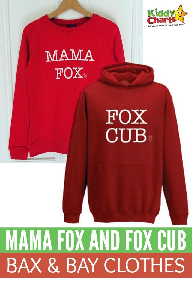 Gorgeous Mama Fox And Fox Cub Bax & Bay Clothes