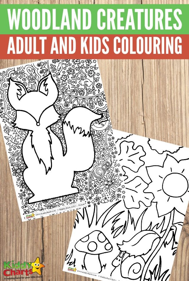 Woodland creatures adult and kids colouring