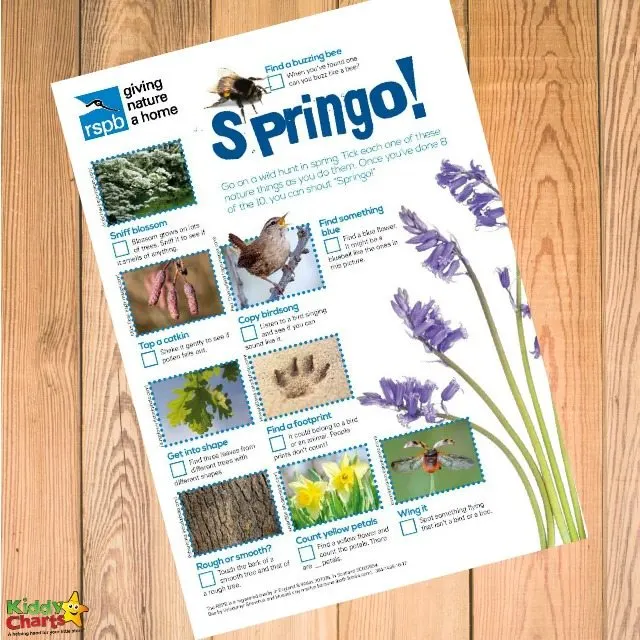 Spring activities to get your kids outside NOW!