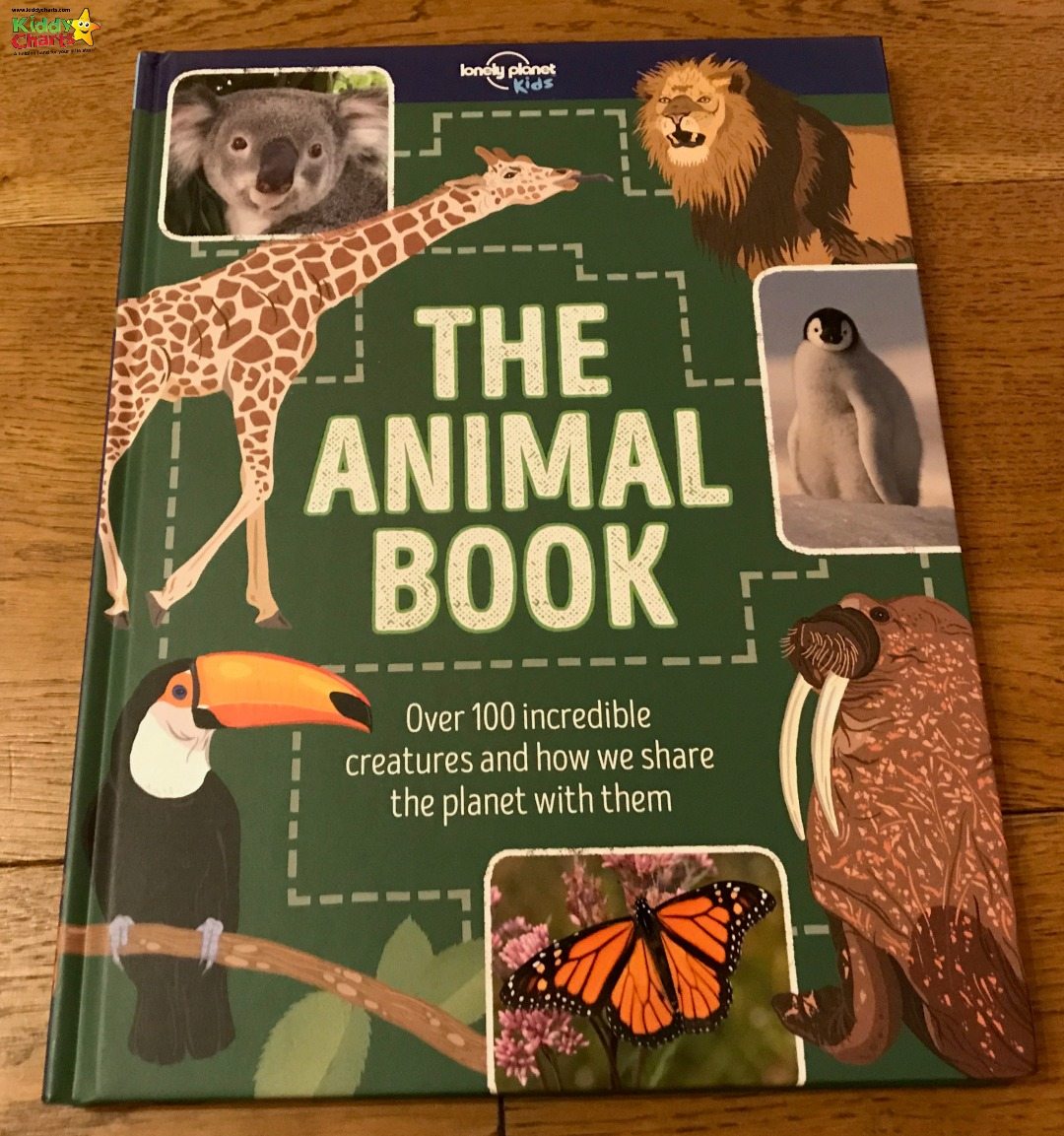 The Animal Book is the first of our Lonely PLanet Kids book reviews - and fantastic resource for your kids, no matter what animals they love!