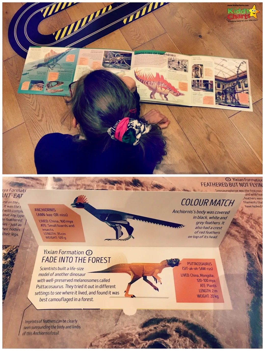 Reading the Dinosaur Atlas and messing with the pop ups! #reading #kids #dinosaurs