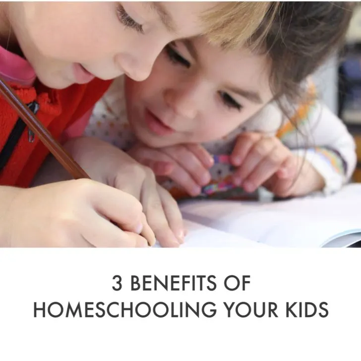 There are benefits for homeschooling your kids - and obviously it isn't for everyone, but we consider some of them to help you decide if its for you. #hoeschooling #kids #benefits #activities #school #education