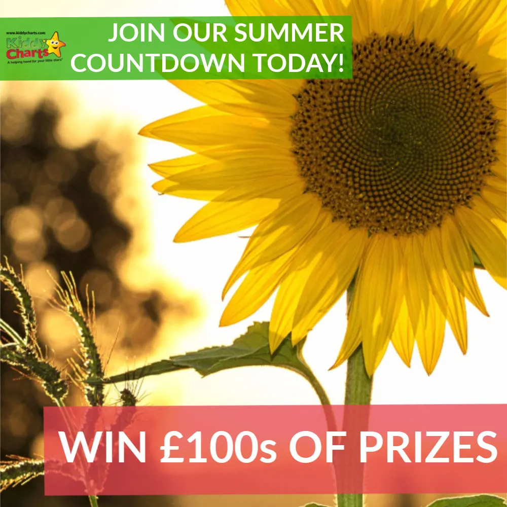 Visit our site now and sign up to our amazing summer countdown, with a giveaway a day from the 8th July, 2019! #giveaways #win #toys #kids #parenting #fun #summer #summeroffun