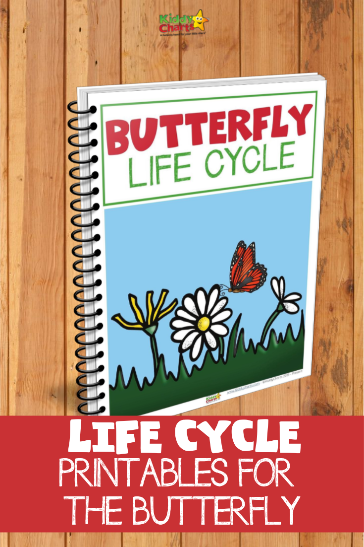Butterfly lifecycle eBook picture - bound eBook with flowers and a butterfly on the cover.
