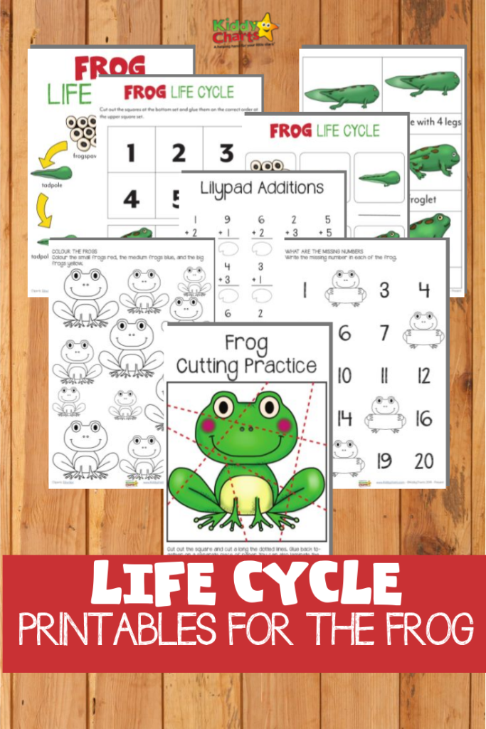 Frog life cycle printabes: Get to know your tadpoles!