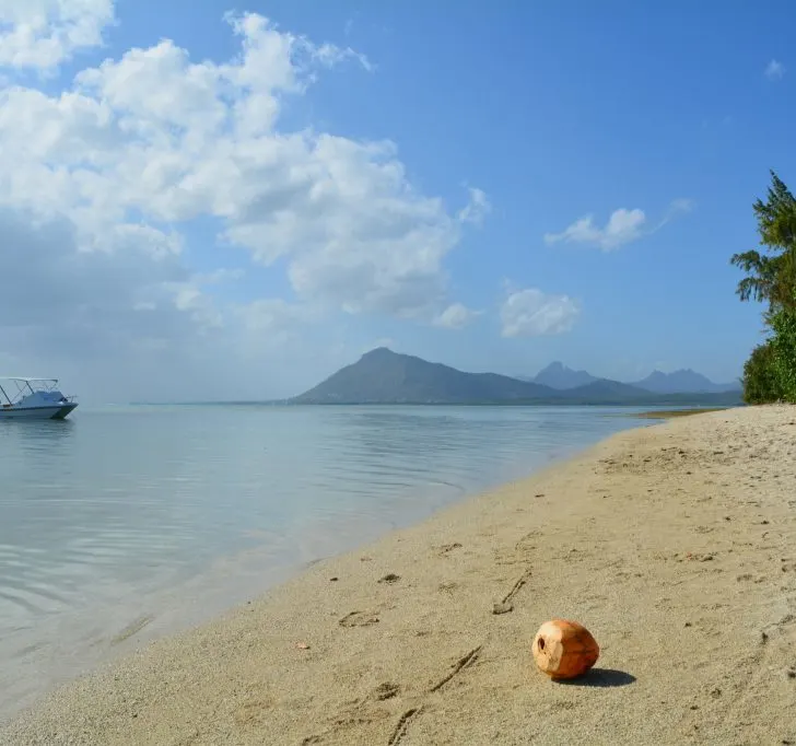 A vibrant summer landscape of a tropical island coast , with a boat sailing in the ocean, a shoreline of beach and coastal landforms, a tree on the shore, and a sky filled with clouds and blue water.