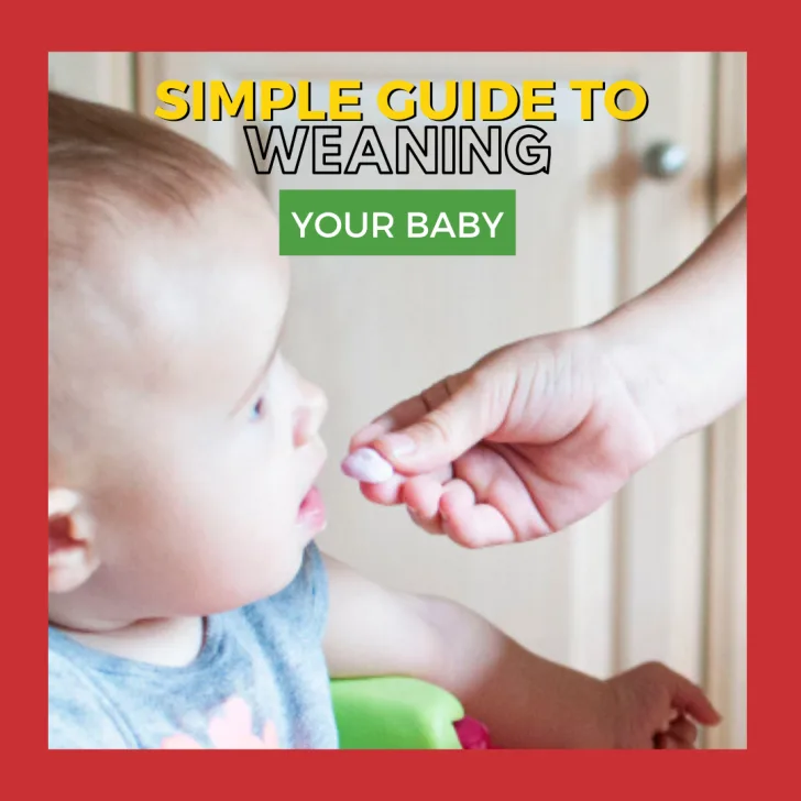 A person holds a newborn baby while a toddler looks on, both wearing baby and toddler clothing, in an indoor setting.