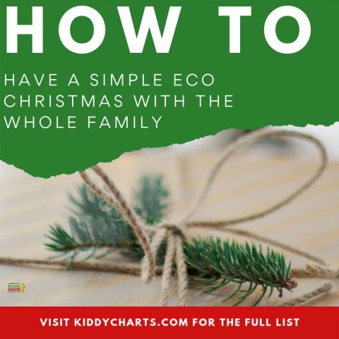 How to have a simple Eco Christmas with the whole family