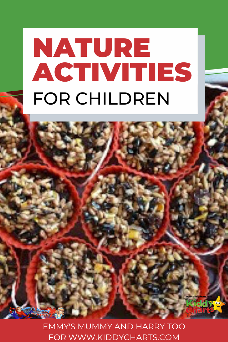 kindergarten-nature-activities