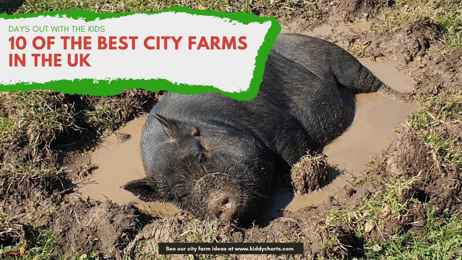 City farms near me: 10 to visit with the kids