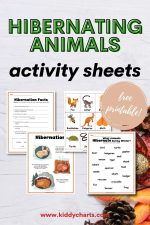 Hibernating Animals Activity Sheets - kiddycharts.com