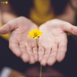 The yellow flower is being held in a hand.