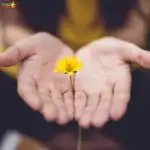 The yellow flower is being held in a hand.