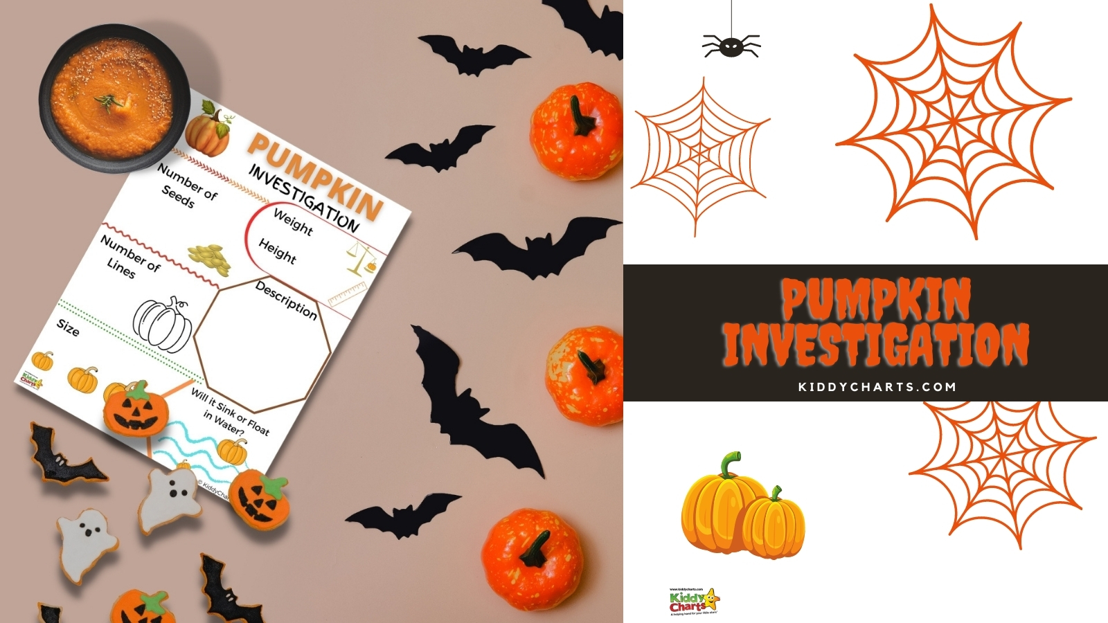 Pumpkin investigation sheet for kids