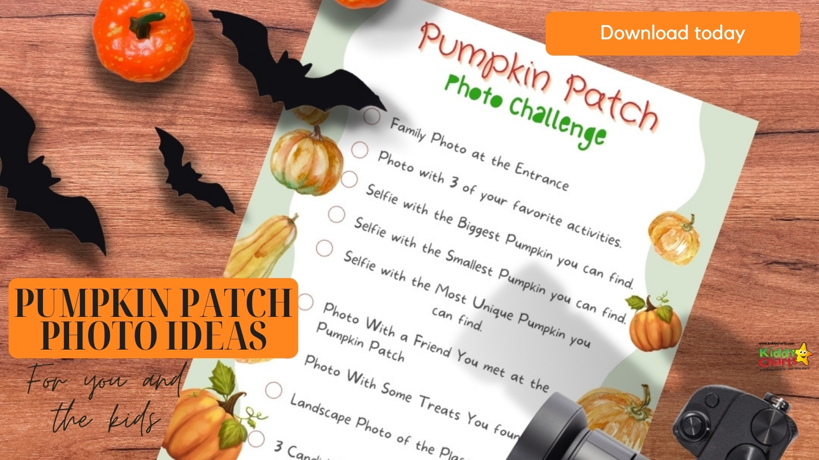 Pumpkin patch photo ideas