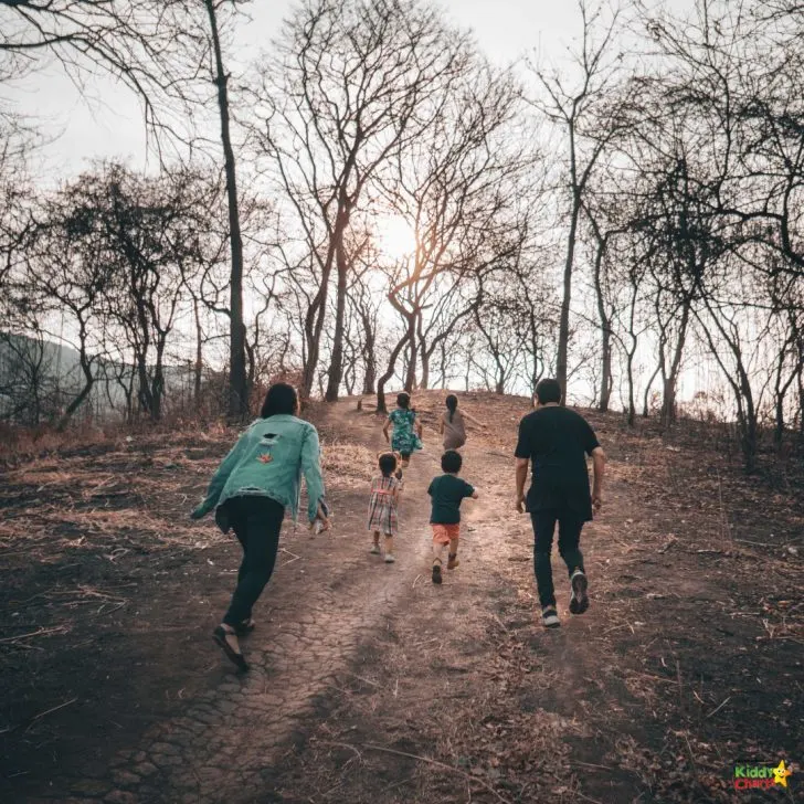 A group walks down a dirt path lined with trees.