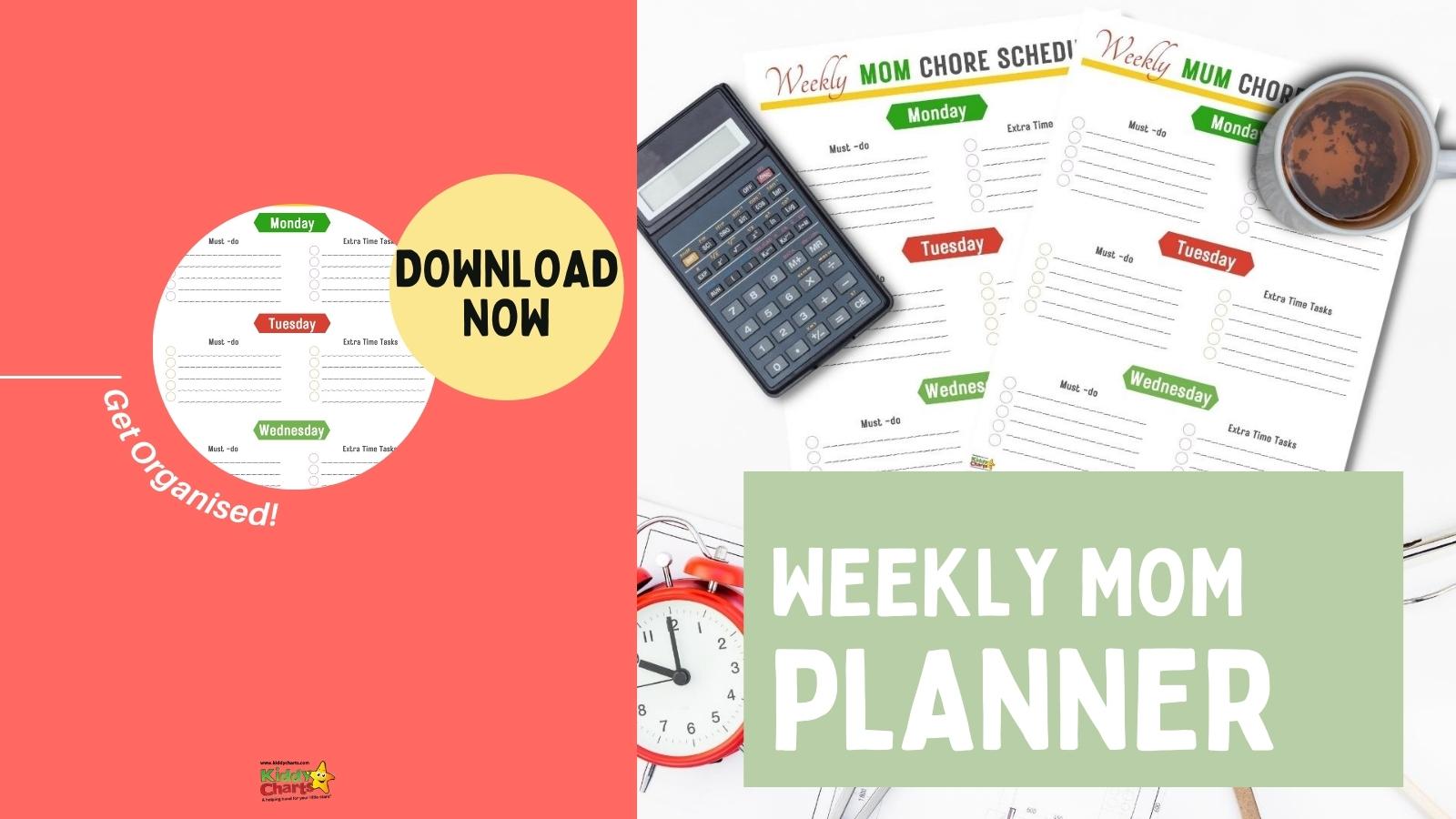 Weekly planner printable free for you today