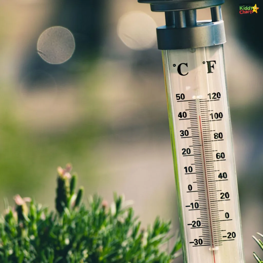 An outdoor thermometer indicates a temperature in both Celsius and Fahrenheit, with a blurry natural background hinting at mild weather conditions.