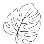 The image is a black and white coloring page featuring a large, detailed leaf with the text "COLOUR YOUR LEAF" encouraging personal creativity.